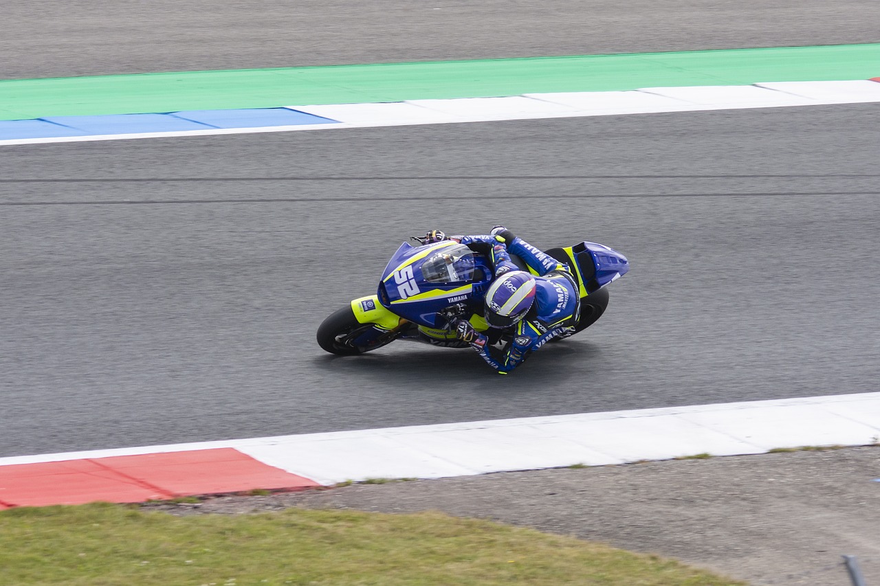 裁判选择对 裁判选择对